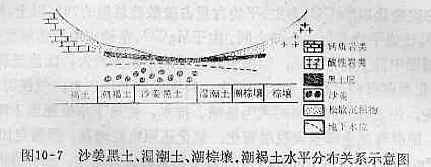 水平分布关系示意图 