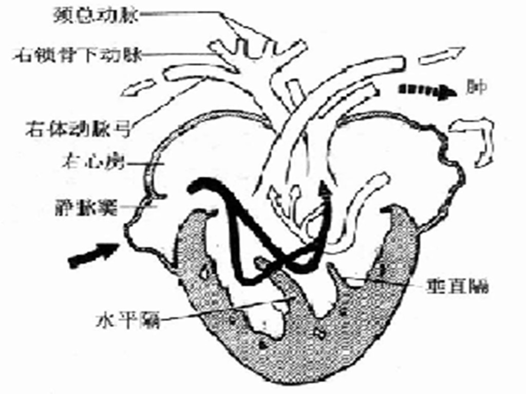 完全双循环 