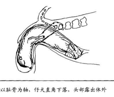 生产过程4