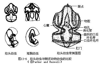 图13-6