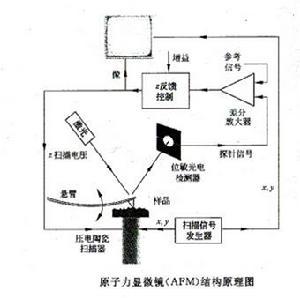 子力显微镜——原理图