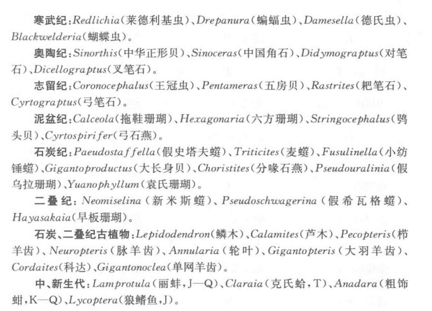 不同时代标准化石