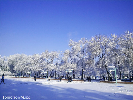 北语2013春雪