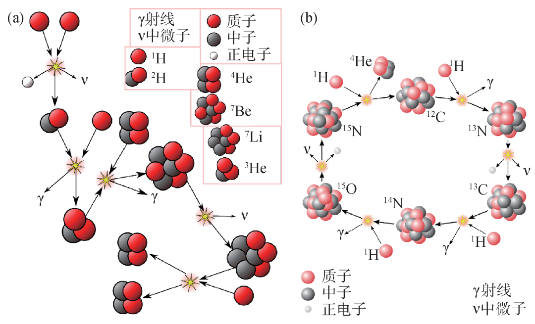 恒星中的氢—氢链(a)和碳—氮—氧循环(b)过程