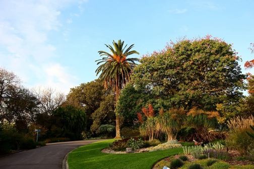 墨尔本皇家植物园