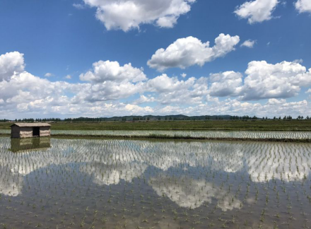 经济