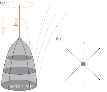 球对称的恒星塌缩为时空奇点示意图及其点电荷周围的电场强度分布