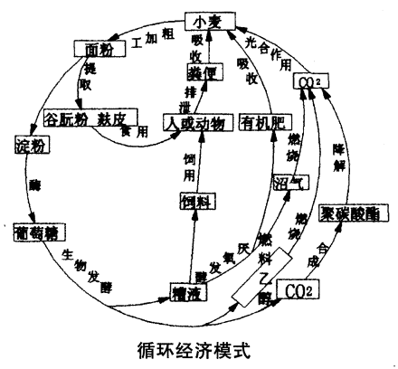 循环经济模式