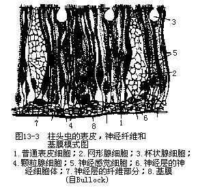 图13-3