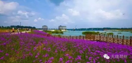 邳州银杏胡风景区