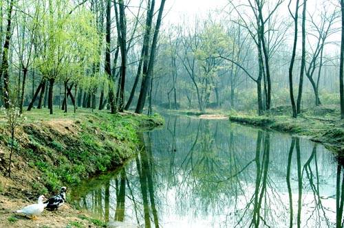 金顶山风景区