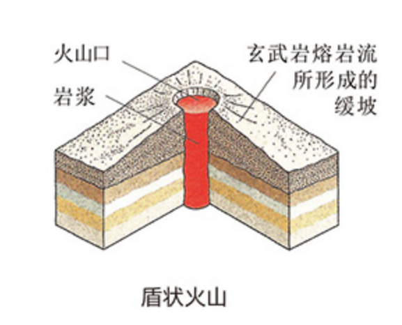 盾状火山 