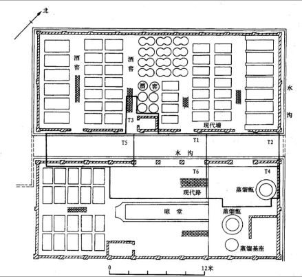 发掘区位置图