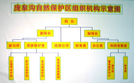 机构设置