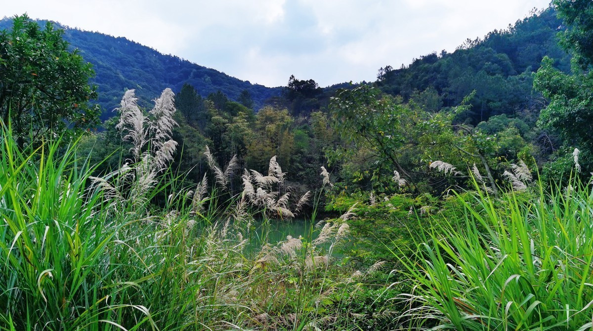 老泉山野公园