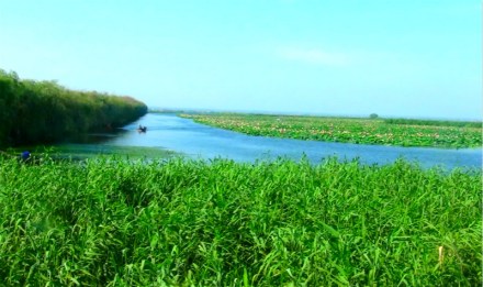 安徽利辛西淝河国家湿地公园