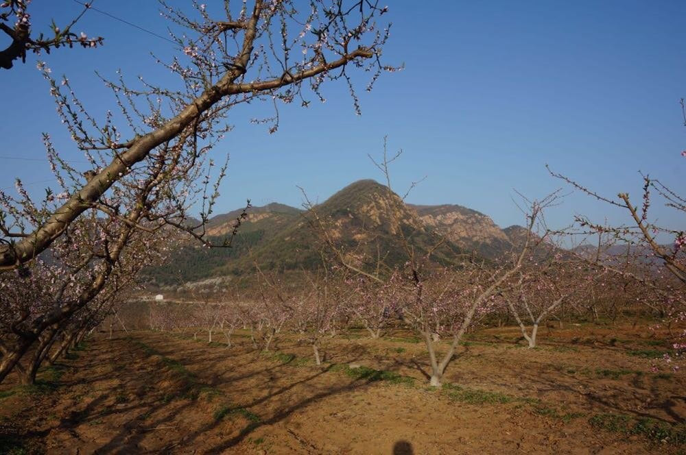 峪口镇地形