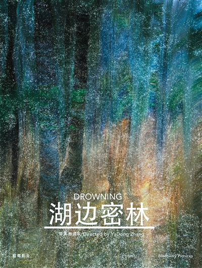 张亚东《湖边密林》电影海报