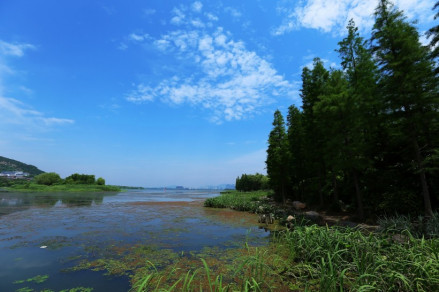 长广溪国家湿地公园