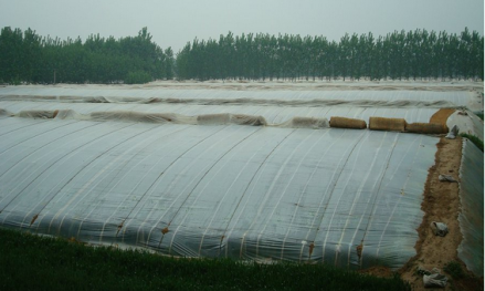 农业种植基地