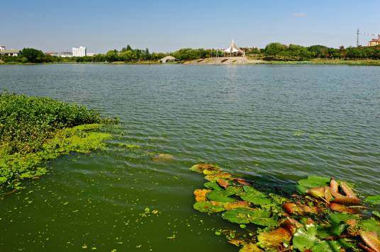 南京高淳固城湖生态景区