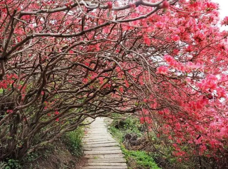 云雾山景区