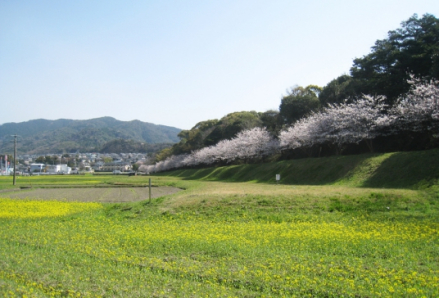 水城遗址