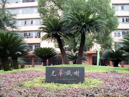 西南财经大学校园内的光华铁树