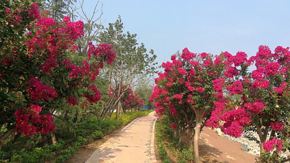 三门峡社会管理职业学院