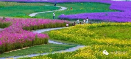 邳州银杏湖风景区