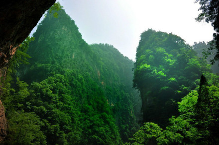 金丝大峡谷美景9