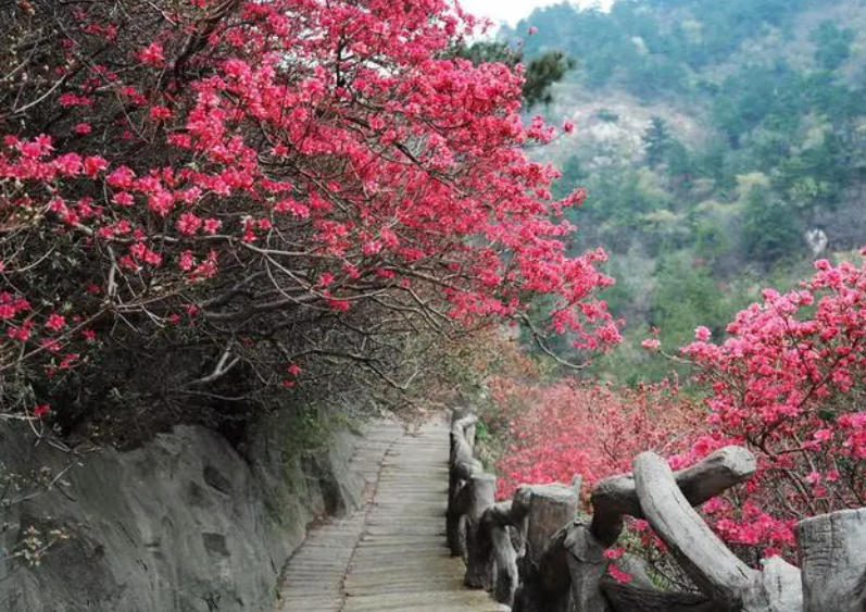 云雾山景区