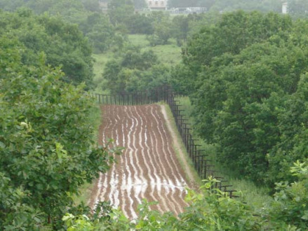 防川