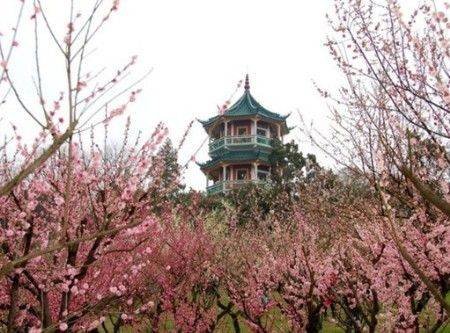 无锡梅园横山风景区