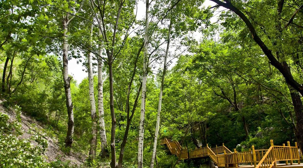 北京松山国家级自然保护区