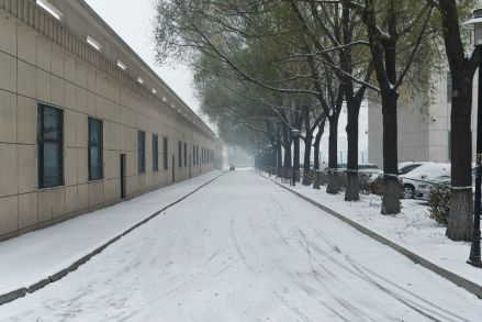 长春光华学院院内风景