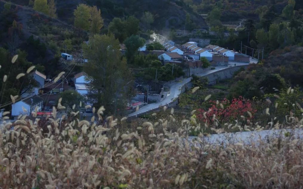 宝山镇（大黄木厂村）