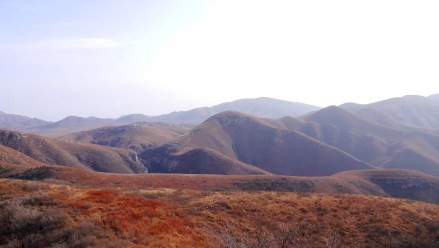 东高村镇地形