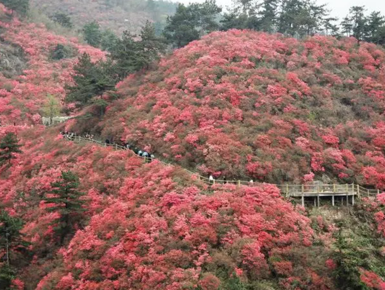 云雾山景区