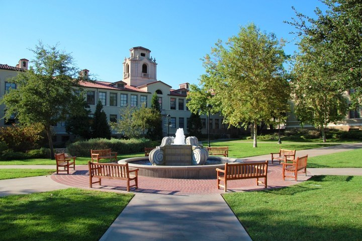 波莫纳学院