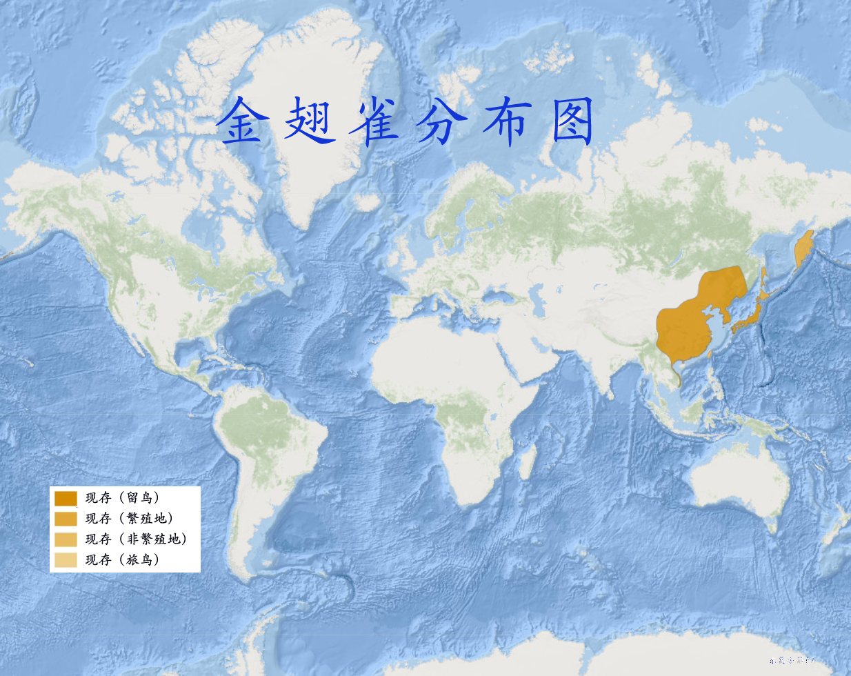 金翅雀分布图