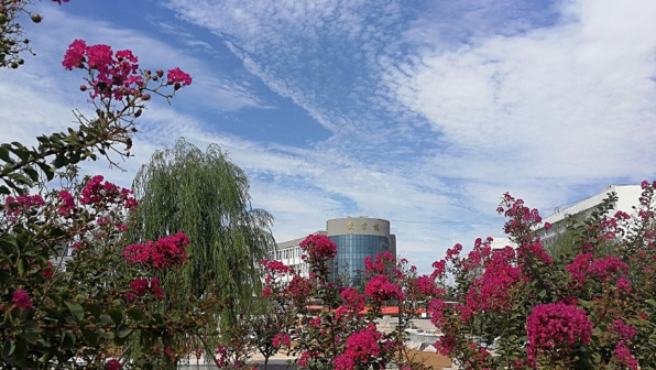 三门峡社会管理职业学院