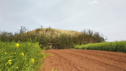 魏明帝高平陵