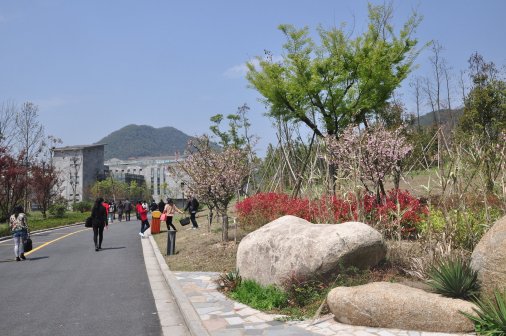 校园风景