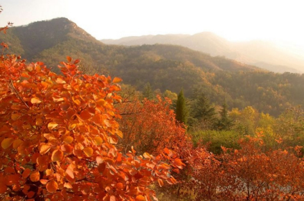 山东鲁山国家森林公园