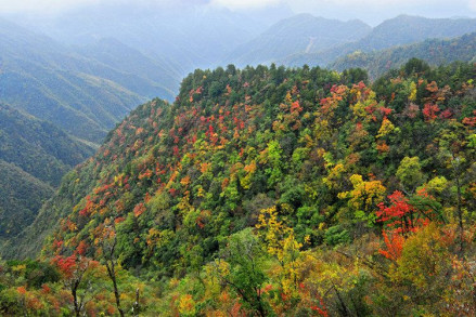 大巴山景色