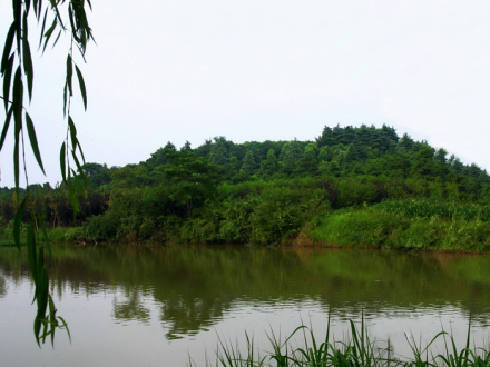 庙山汉墓全景