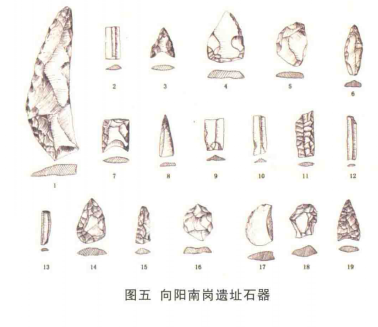 向阳南岗遗址出士石器