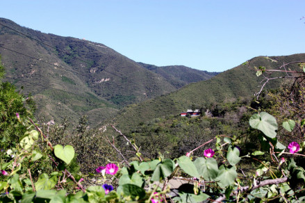 天泰山