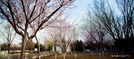 辽宁现代服务职业技术学院校园风景